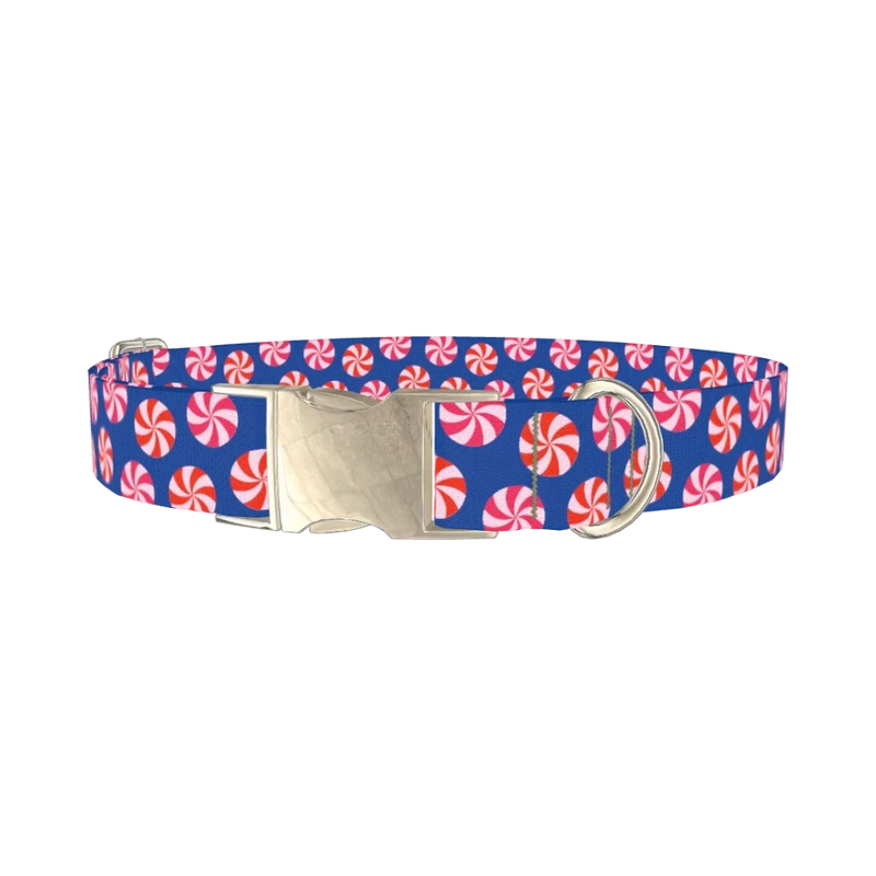 Blue Peppermint Swirl Dog Collar - metal silver