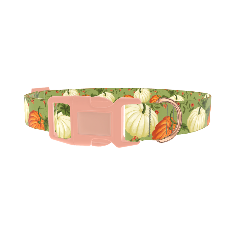Pumpkin Floral Dog Collar - plastic rose gold