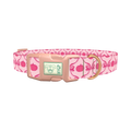 Halloween Pink Pumpkin Dog Collar - plastic rose gold