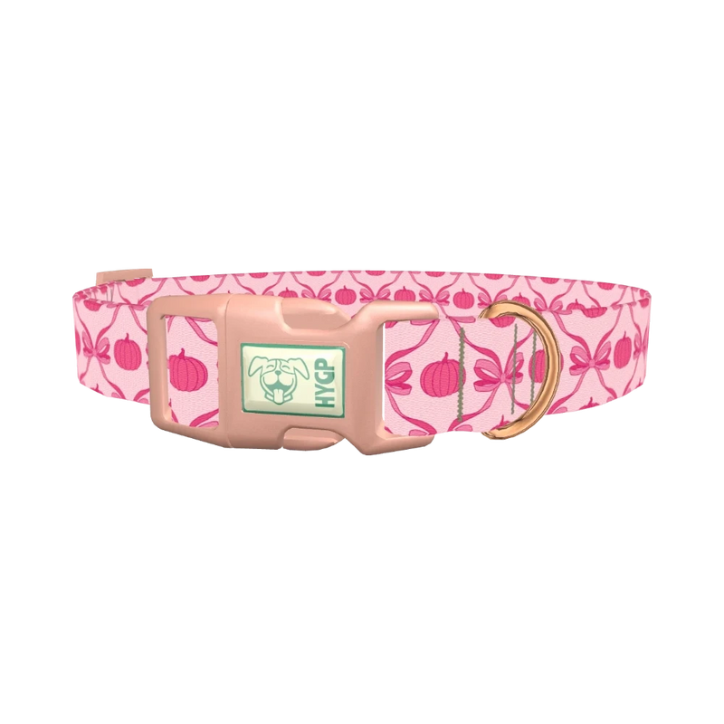 Halloween Pink Pumpkin Dog Collar - plastic rose gold