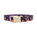 Halloween Witch Potion Dog Collar - plastic rose gold
