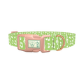 Lime Musical Note Dog Collar - plastic rose gold