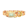 Dia de los Muertos Dog Collar - plastic gold