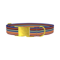 Southwestern Stripe Dog Collar - metal gold