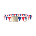 Patriotic Stars and Stripes Dog Collar - metal silver