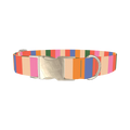 Colorful Stripe Pattern Dog Collar - metal silver