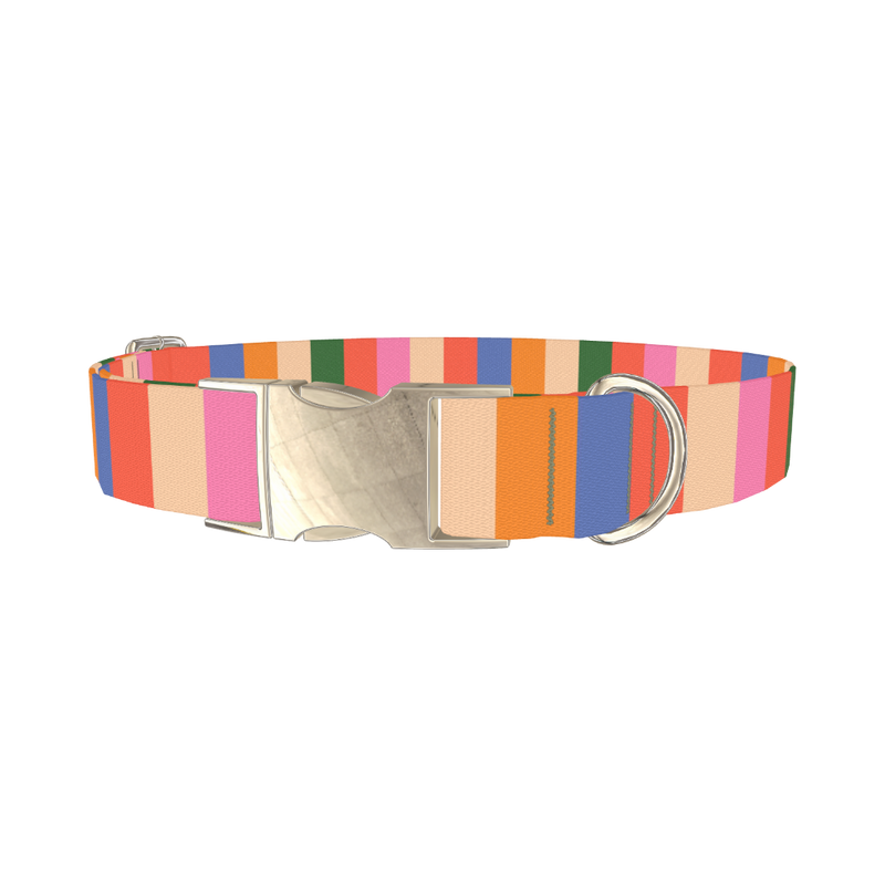 Colorful Stripe Pattern Dog Collar - metal silver