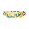 Colorful Flip Flop Dog Collar - plastic gold