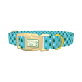 Blue Christmas Trees Dog Collar - plastic gold
