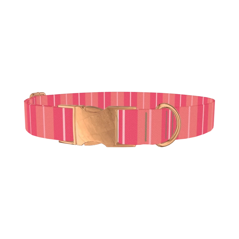 Pink Stripes Dog Collar - metal rose gold