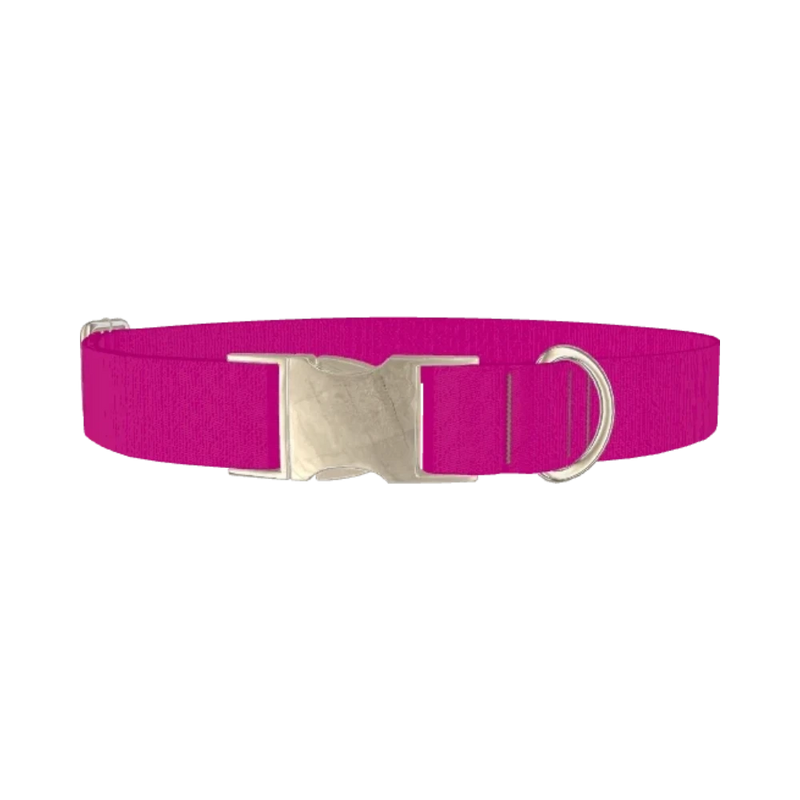 Snappy Violet Color Dog Collar - metal silver