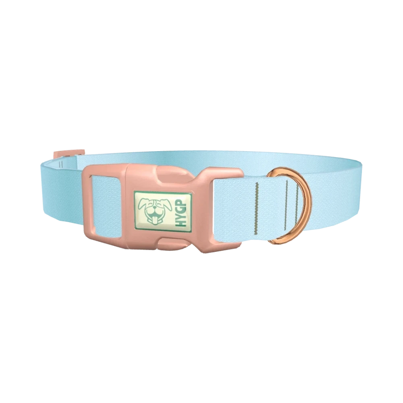Blue Gradient Dog Collar - plastic rose gold