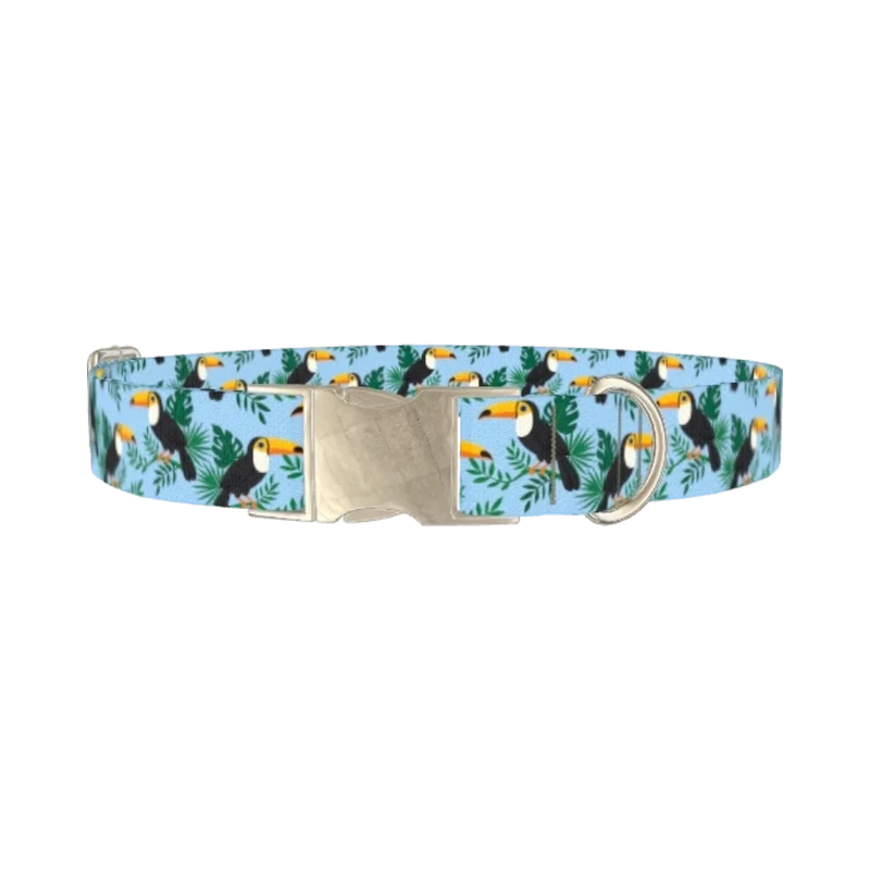 Tropical Toucan Dog Collar - metal silver