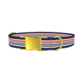 Dark Blue Rainbow Stripe Dog Collar - metal gold