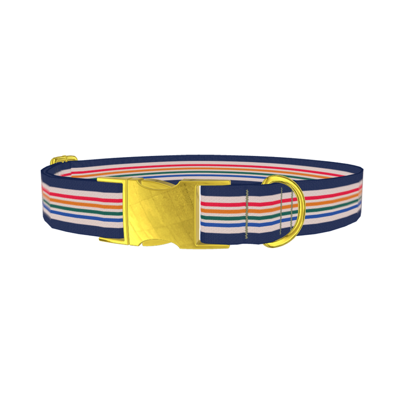 Dark Blue Rainbow Stripe Dog Collar - metal gold