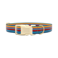 Colorful Geometric Stripe Dog Collar - plastic silver