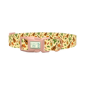 Mexican Fiesta Dog Collar - plastic rose gold