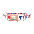 Patriotic Stars and Stripes Dog Collar - plastic rose gold