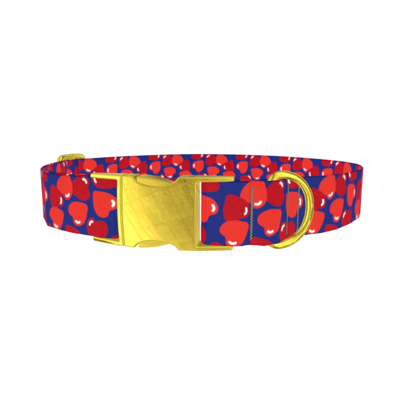 Navy Heart Pattern Dog Collar - metal gold