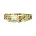 Paint Splatter Dog Collar - plastic gold