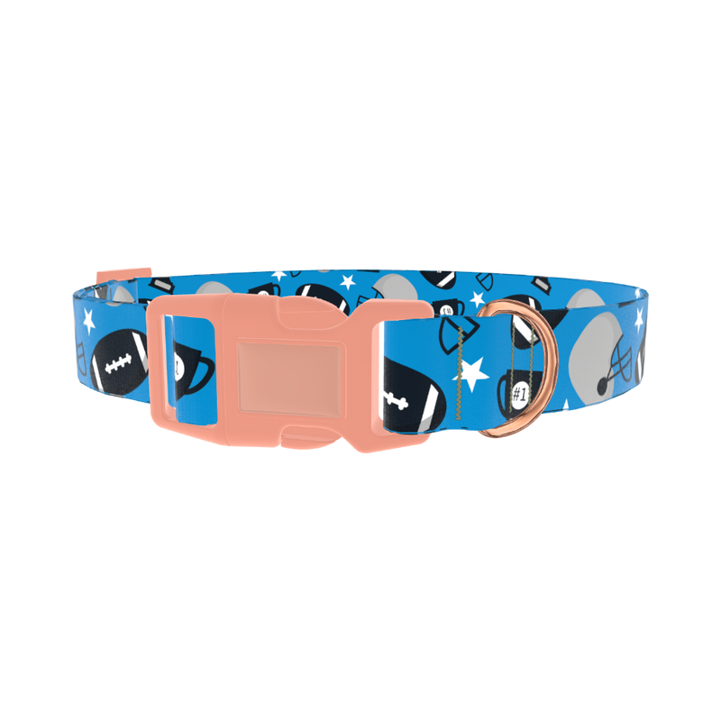 Blue Football Trophy Dog Collar - plastic rose gold