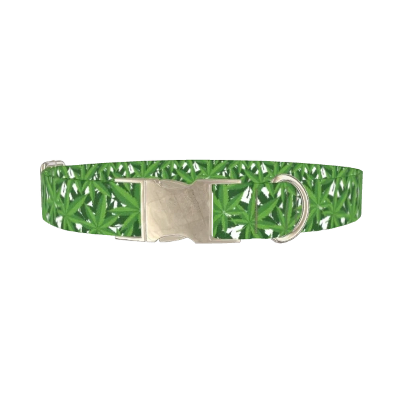 Leaf Pattern Dog Collar - metal silver