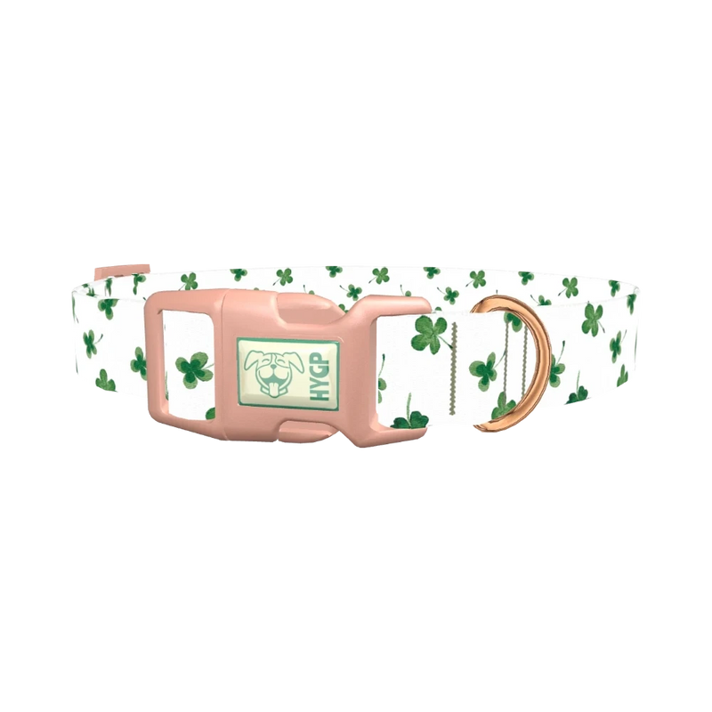 Watercolor Shamrock Dog Collar - plastic rose gold