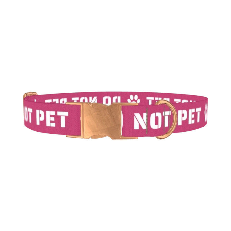 Pink Do Not Pet Dog Collar - metal rose gold
