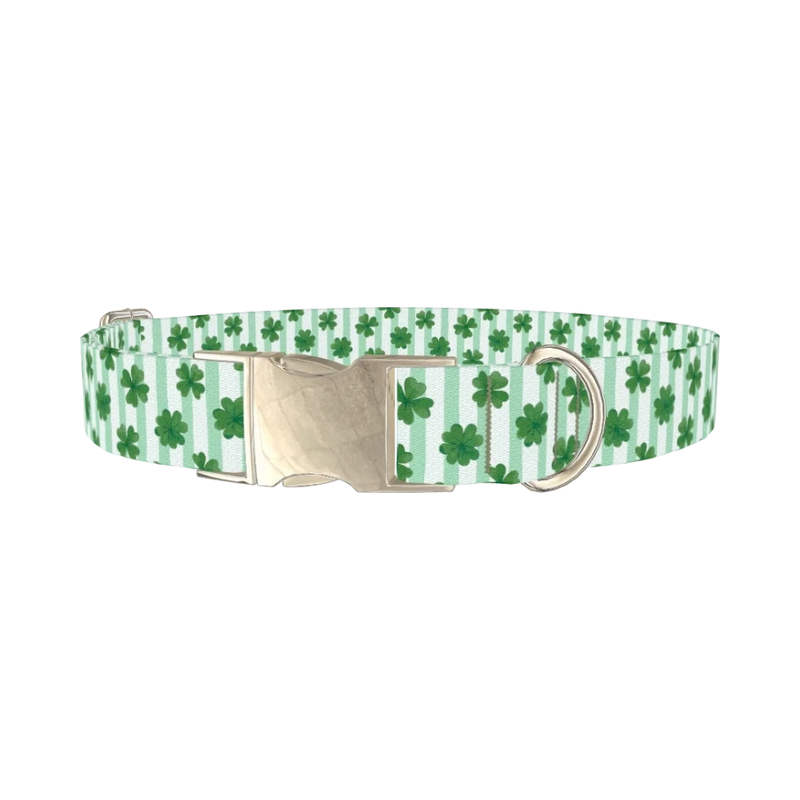 Clover Stripes Dog Collar - metal silver