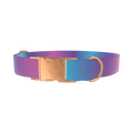 Blue Pink Ombre Dog Collar - metal rose gold