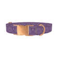 Purple Eye Pattern Dog Collar - metal rose gold