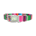 Mexican Floral Stripe Dog Collar - plastic silver