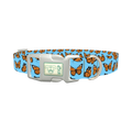 Monarch Butterfly Dog Collar - plastic silver