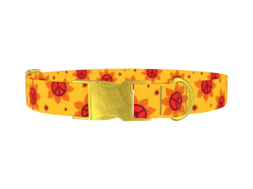 FUN_PeaceSunflowers