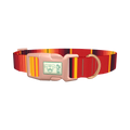 Mexican Red Stripe Dog Collar - plastic rose gold