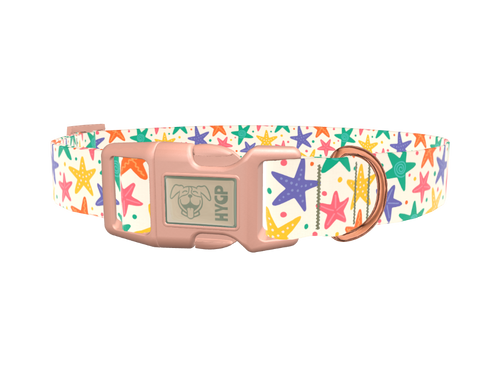 Starfish Mix Dog Collar