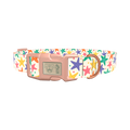 Starfish Mix Dog Collar - plastic silver