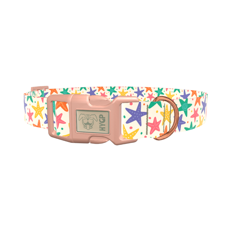 Starfish Mix Dog Collar - plastic silver