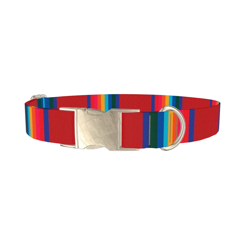 Striped Rainbow Dog Collar - metal silver