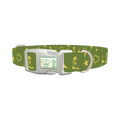 Cowboy Star Dog Collar - plastic silver