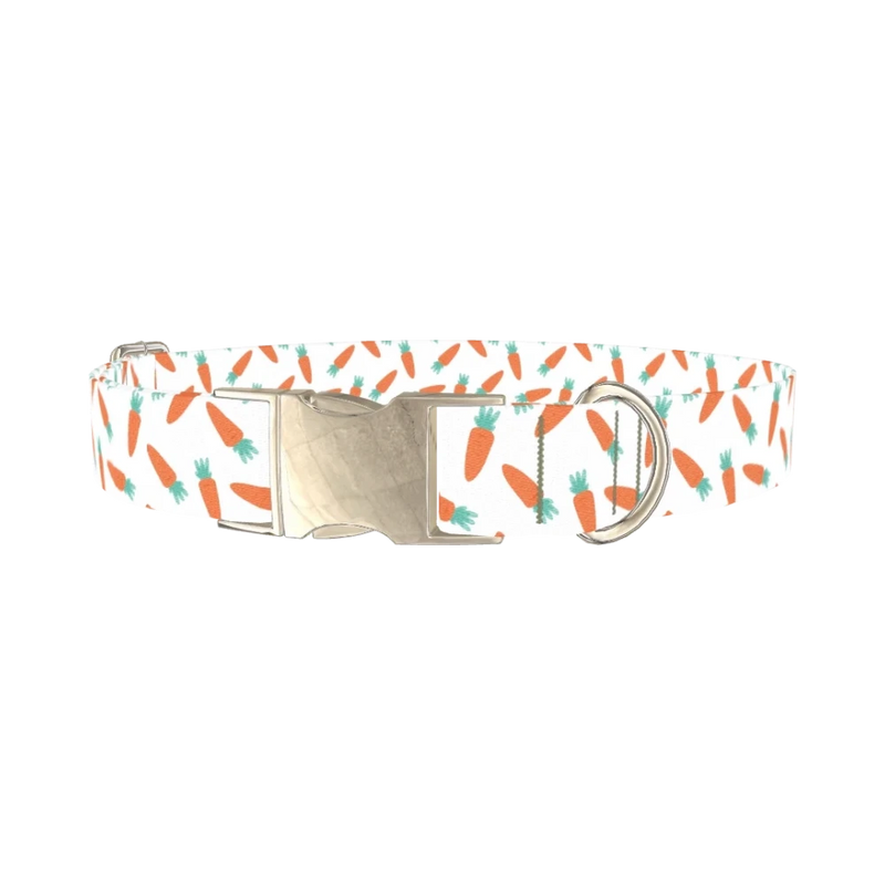 Carrot Pattern Dog Collar - metal silver