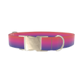Gradient Pink Blue Dog Collar - metal silver