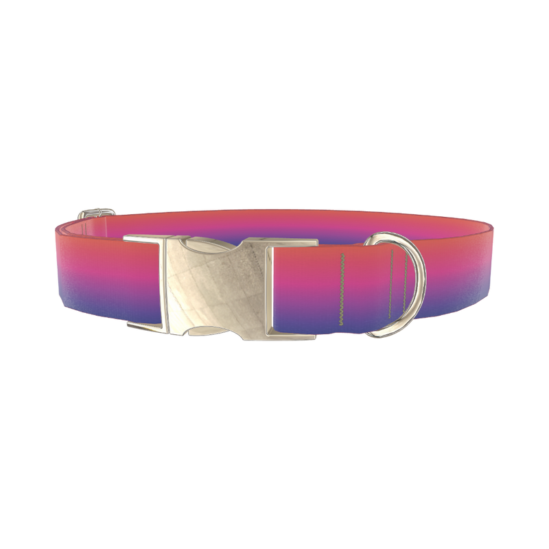 Gradient Pink Blue Dog Collar - metal silver