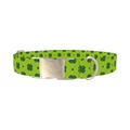 Green Clover Pattern Dog Collar - metal silver