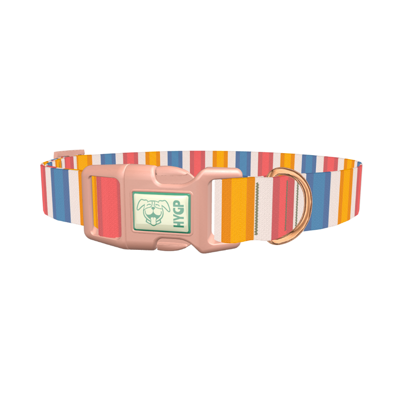 Yellow Pink Blue Striped Dog Collar - plastic rose gold