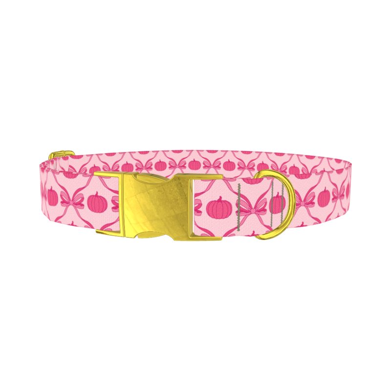 Halloween Pink Pumpkin Dog Collar - metal gold