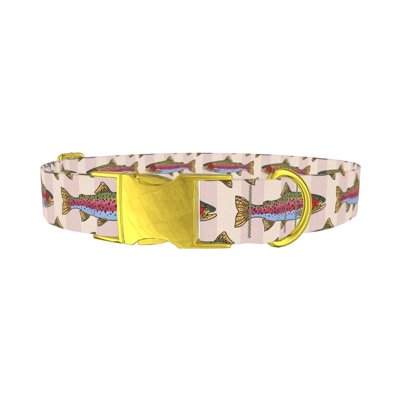 Rainbow Trout Fish Dog Collar - metal gold