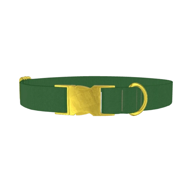 Arcala Green Color Dog Collar - metal gold