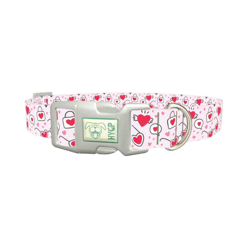 Heart Sunglasses Dog Collar - plastic silver
