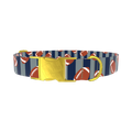 Football Stripes Dog Collar - metal gold